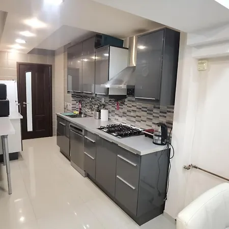 Apartment Dorobanti *
