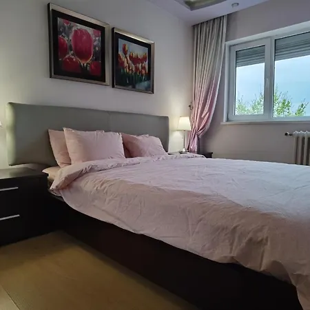 Apartment Dorobanti