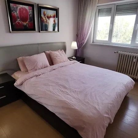 Dorobanti Apartment *